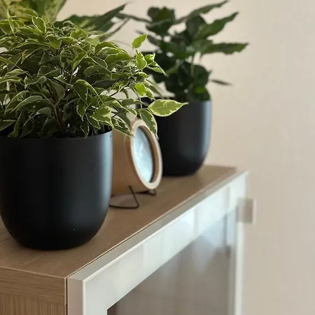 Elena Appartement